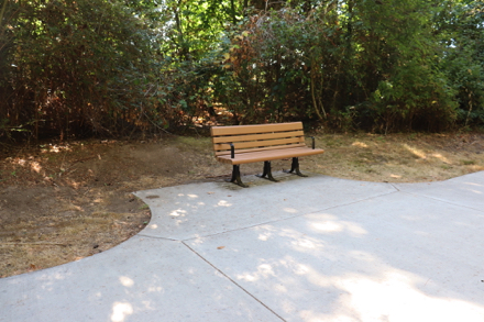 Hard surface trail - bench with arms - area next to bench for mobility devices and strollers